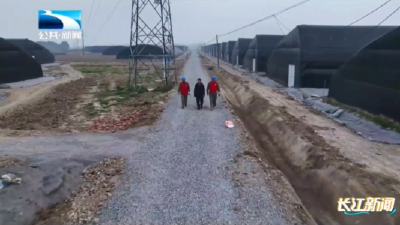 襄阳宜城：寒潮来袭 电力先行 守护“菜篮子”温暖过冬