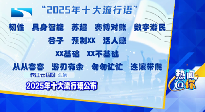 2025年十大流行语公布