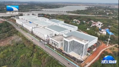 在湖北 创未来丨咸宁：返乡楚商企业75天投产