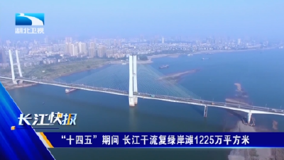 “十四五”期间 长江干流复绿岸滩1225万平方米