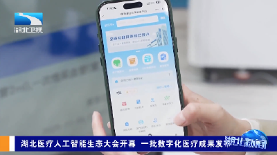 湖北医疗人工智能生态大会开幕 一批数字化医疗成果发布