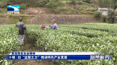 贯彻落实全会精神∣十堰：以“监督之力”推动特色产业发展