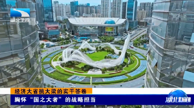 向高而攀的湖北 | 经济大省挑大梁的实干答卷