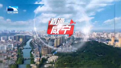 直通咸宁 | 崇阳：奋战四季度 决胜全年红