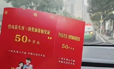 湖北一地生娃“奖房子”