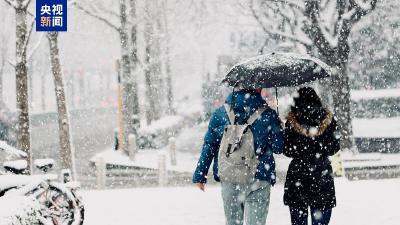 今天，本轮寒潮雨雪最强时段！这份安全出行指南必看