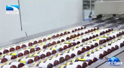 2025年12月14日湖北新闻