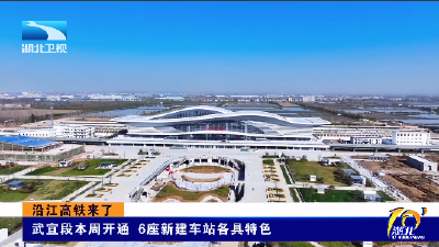 沿江高铁来了丨武宜段本周开通 6座新建车站各具特色