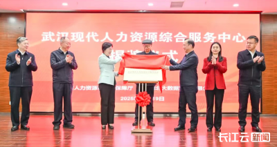 武汉现代人力资源综合服务中心揭牌