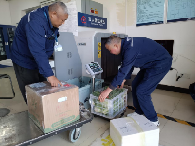 从十堰到全国：高铁快运如何让 “鲜货不腐、急件不慢”？