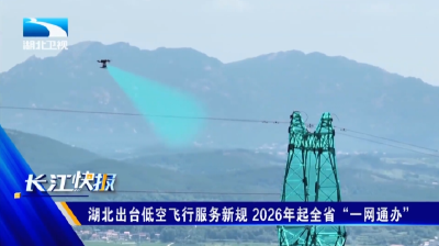 湖北出台低空飞行服务新规 2026年起全省“一网通办”