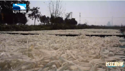 孝感应城：豆皮深加工 绘就乡村振兴“新美景”