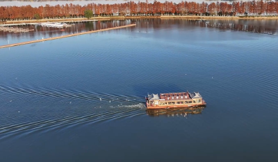 错过要等一年！东湖观鸥专线开启