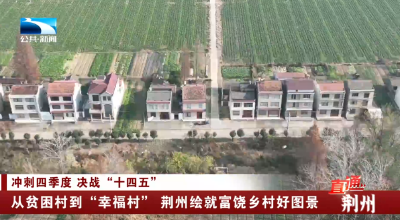 荆州：从贫困村到“幸福村” 荆州绘就富饶乡村好图景