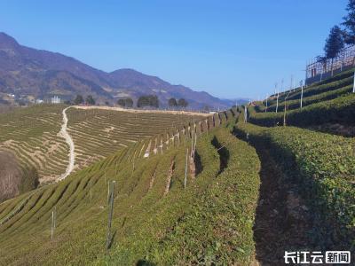 湖北保康：5000万中彩资金“点石成金”，绘就农文旅融合振兴画卷