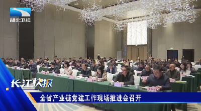 全省产业链党建工作现场推进会召开 
