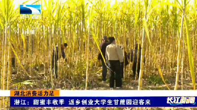 2025年12月3日长江新闻