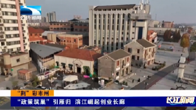 “荆”彩市州 | “政策筑巢”引雁归 滨江崛起创业长廊