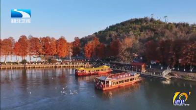 2025年12月10日湖北十分