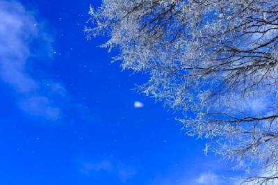 院士开讲 全民健康课 | 应对流感高发季 科学预治有新知