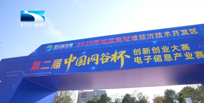 第二届“中国网谷杯”创新创业大赛决赛在武汉举办