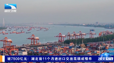 破7500亿元！湖北前11个月进出口交出亮眼成绩单