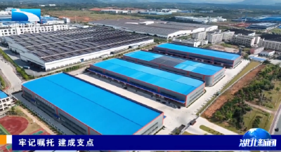 牢记嘱托 建成支点 | 双平台联动 助力特色产业“加速跑”