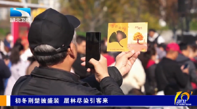 初冬荆楚披盛装 层林尽染引客来