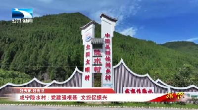 好支部 好支书 | 咸宁隐水村：党建强根基 文旅促振兴