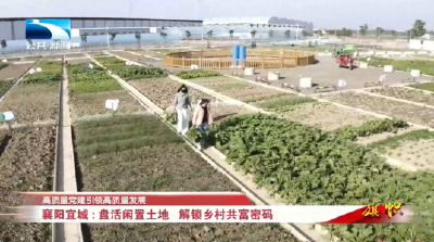 高质量党建引领高质量发展 | 襄阳宜城：盘活闲置土地 解锁乡村共富密码