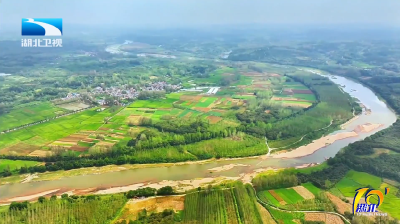 2025年12月12日湖北十分