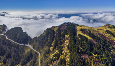 湖北林科院放大招！让森林“吸碳”更给力 助力荆楚绿色发展