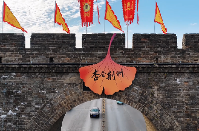 湖北荆州：杏运人民路精彩回顾！