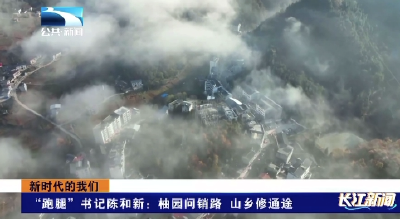 “跑腿”书记陈和新：柚园问销路 山乡修通途