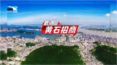 直通黄石招商 | 楚商回乡谋发展 加快建成武汉都市圈重要增长极