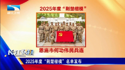 2025年度“荆楚楷模”名单发布