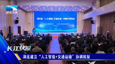 湖北建立“人工智能+交通运输”协调机制