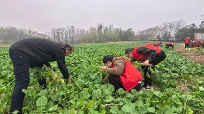 聚焦干部素质提升年｜赤壁市新店镇推动年轻干部在一线成长成才纪实