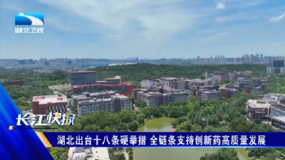 湖北出台十八条硬举措 全链条支持创新药高质量发展