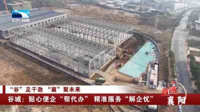 谷城：贴心便企“帮代办” 精准服务“解企忧”