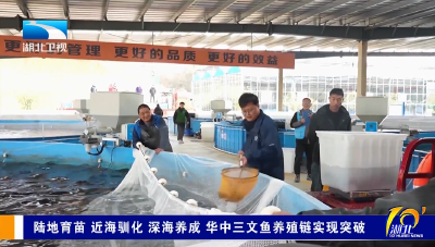 陆地育苗 近海驯化 深海养成 华中三文鱼养殖链实现突破