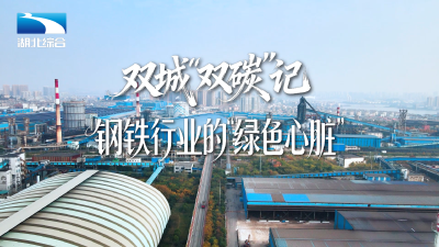 双城“双碳”记｜逆袭成功！这项硬核减碳技术年省1亿吨，更沿“一带一路”强势出海
