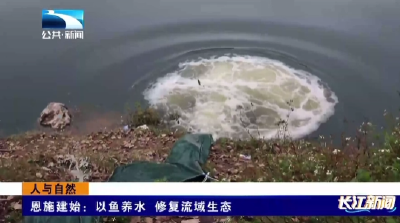 恩施建始：以鱼养水 修复流域生态