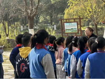 以叶为媒 以画疗心：吉林街小学开展心理健康艺术疗愈活动