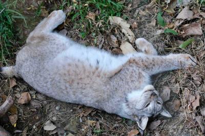 不让小孩玩社交媒体，这么做有用吗？