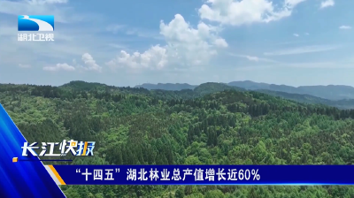 “十四五”湖北林业总产值增长近60%