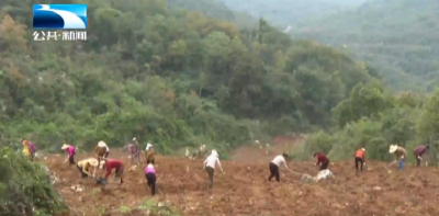 2025年12月7日长江新闻