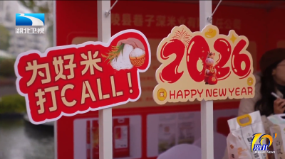 2025年12月31日湖北十分