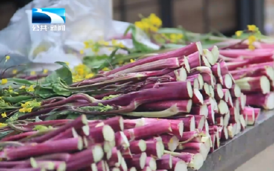 2025年12月15日长江新闻