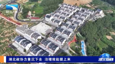 湖北政协力量沉下去 治理效能提上来